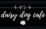 Daisy Dog Cafe Logo - Screenshot 2024-06-06 at 10.23.50 AM